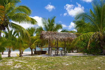 Check-in or Check-out Kiosk